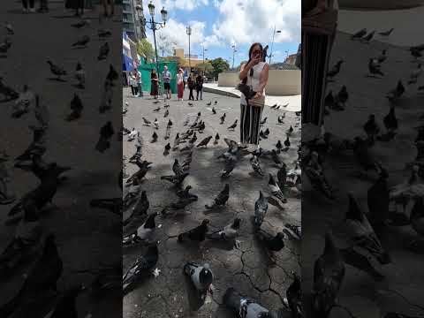 Centro de San José Costa Rica #love #fun #viajes #travel