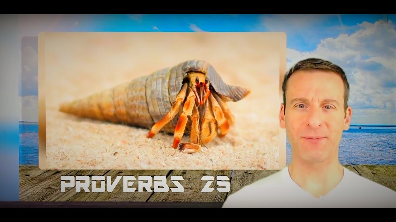 Proverbs Chapter 25 Summary and What God Wants From Us