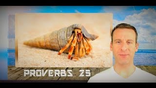 Proverbs Chapter 25 Summary and What God Wants From Us
