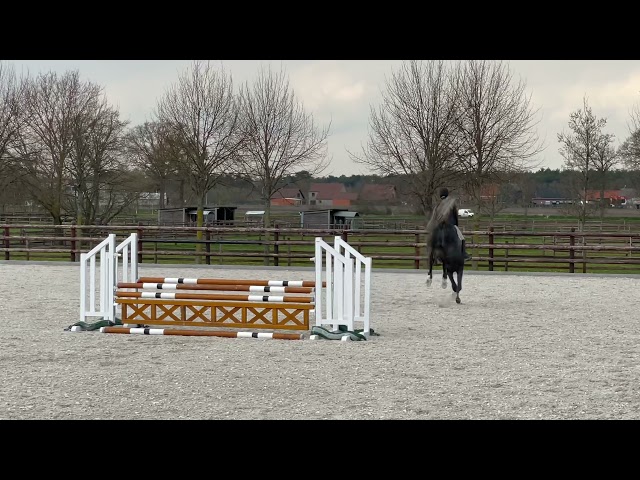 Extra jumping video