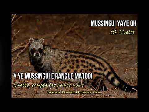 Mussingui - Didier MOMBO | Paroles en Punu & Traduction en Français