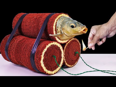image-What are the benefits of science fair projects on fish?