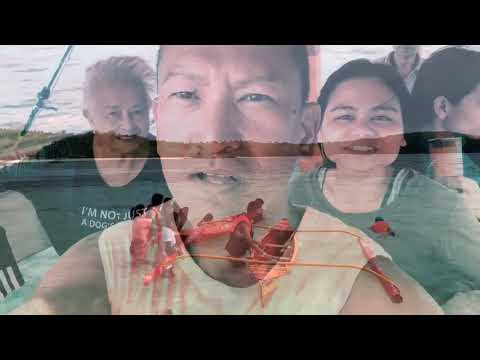 Coco Beach Resort - Another Day in Paradise