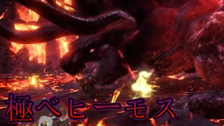 極ベヒソロ討伐　兜割りが下手過ぎるハンター。【MHW:IB】