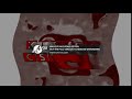 REQUESTED Klasky Csupo In Violin Vocoder On AVS