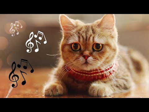 😻 Extreme relaxation music for  restless cats ♬ Happy New Year 🎄