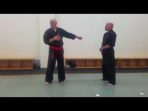 Kiai - Mini-lecture by Dan Anderson