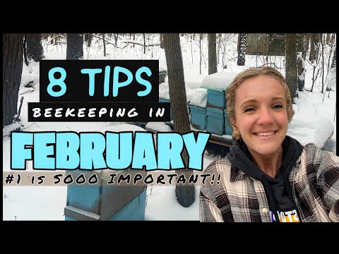 , title : '8 MOST IMPORTANT Things YOU Should Be Doing In FEBRUARY / Beekeeping 101 #beekeeping'