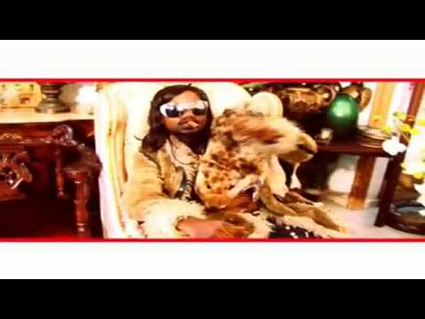 Les Opérateurs de la Djassacité