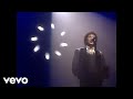 Laurent Voulzy - Paradoxal système (Voulzy Tour au Zénith de Paris 1993)
