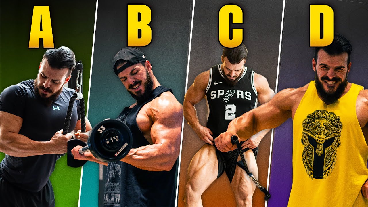 Montando um treino ABCD com TODOS os EXERCÍCIOS. Passo a Passo EXPLICADO!