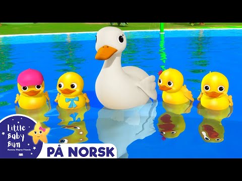 Fem små ender | Little Baby Bum Norsk | Babysanger