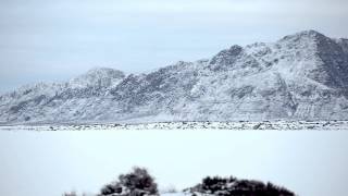 Richmond Fontaine - The Blind Horse