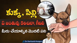 How to Treat a Dog Bite | Hydrophobia | Rabies Immunoglobulin | Rabies Vaccine |Dr.Ravikanth Kongara