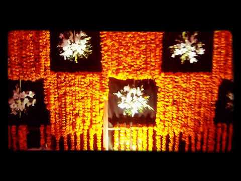 Ali light/ fresh flowers decoration New City phase_1 lane no 16