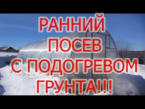 ТЕСТИРУЕМ ЭЛЕКТРО ПОДОГРЕВ ГРУНТА В ТЕПЛИЦЕ, ПОСЕВ РЕДИСА И УКРОПА