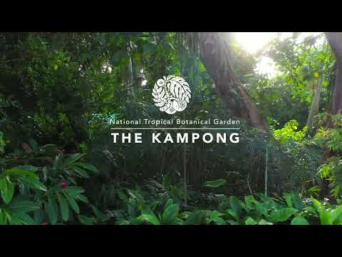 The Kampong