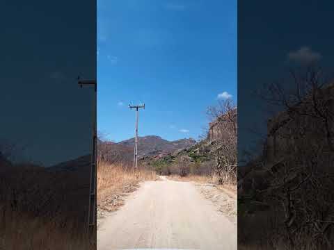 🌳 Um cenário belo na região do Firino, no Missi – Irauçuba