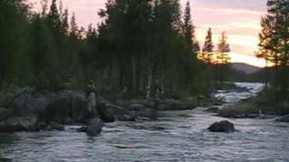 preview picture of video 'Fly fishing for Grayling in Swedish Lapland'