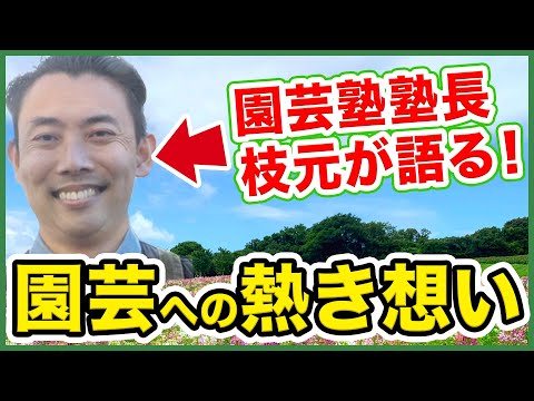 園芸 オークスピードウェル、ウッドスピードウェル、フォールスジャーマンダー