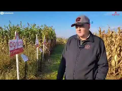 Ons gesels grasmengsels saam met Agricol. Dag 3, kom vind uit waarom die mengsels so saamgestel is.