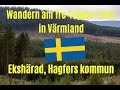 Auf Ab Mit Hirschlausfliegen Tre Toppar Trail Ekshärad Schweden Värmland Hagfors Kommun