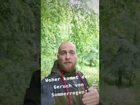 So entsteht der typische Geruch von Regen im Sommer #petrichor #sommer #wissenswert #nature #magic