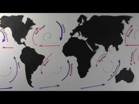 Surface Ocean Currents and Gyres