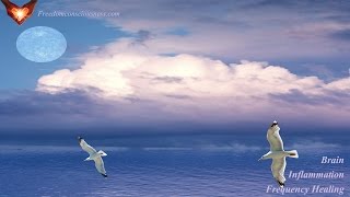 Brain Inflammation Frequency Healing - Cure Brain Swelling and Encephalitis