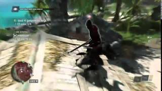 Assassin Creed Black Flag - Dafuq