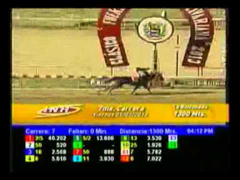 RESUMEN CARRERAS VIERNES 5 JULIO LA RINCONADA