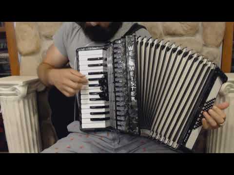 WELTPER2648SL - Slate Weltmeister Perle Piano Accordion MM 26 48 $1799