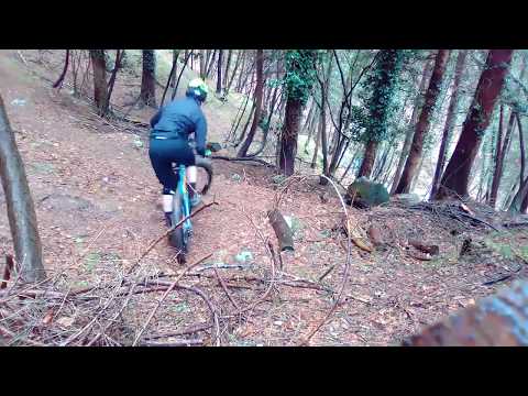 Bardino in action in the Italian Alps