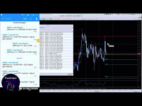 Video WanaScalper MT4