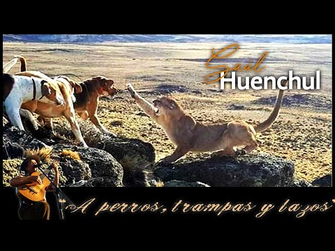 Saul Huenchul - A perros, trampas y lazos