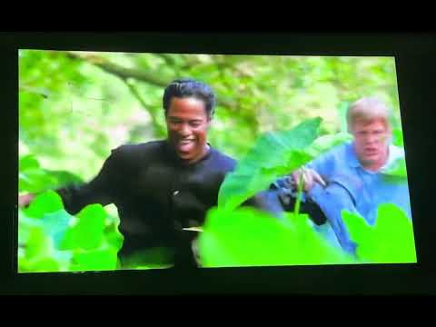 Blue Chips Algiers ?