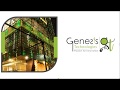 Genesis Technologies - Overview