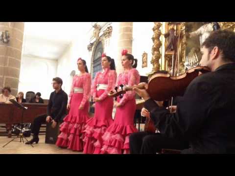 Video 3 de Savia Y Compas Coro Rociero Cuadro Flamenco