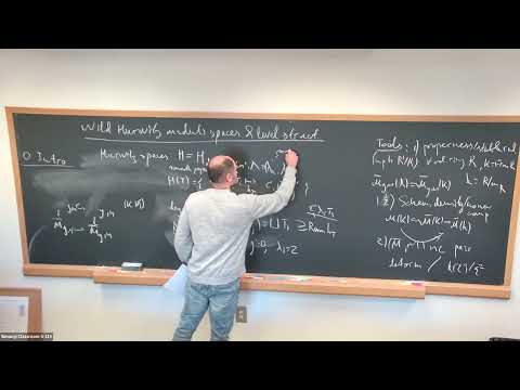 Wild Hurwitz Moduli Spaces and Level Structures