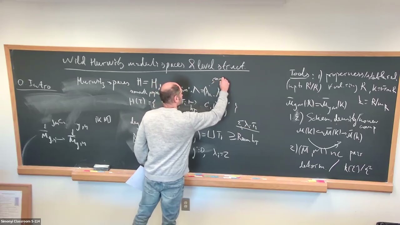 Wild Hurwitz Moduli Spaces and Level Structures