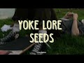Yoke Lore - Seeds // Español