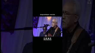 Download lagu Bunga Kehidupan - Iwan Fals mp3