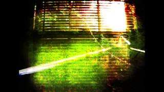 Tunabunny - You Do What You Want