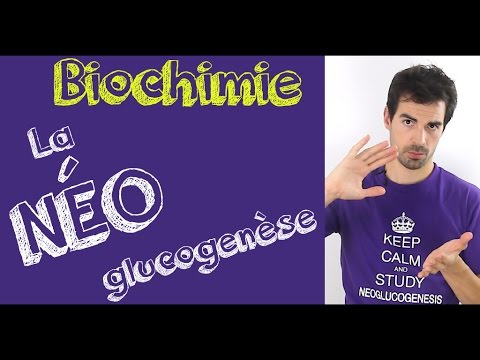 Biochemistry Course: Gluconeogenesis