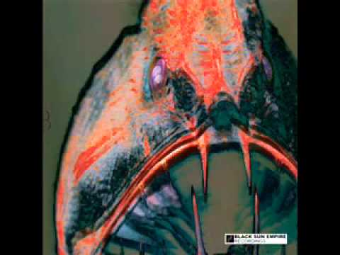 Rawthang ft Kari - Epilogue