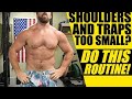 50 Rep Traps & Shoulders Shredding Kettlebell Routine | Chandler Marchman