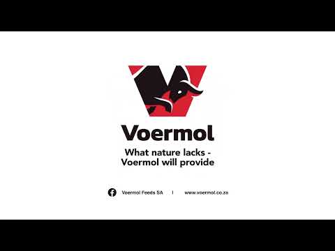 Voermol - Maximising the Return on Your Investment