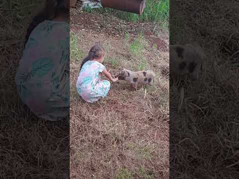 El soberbio misiones