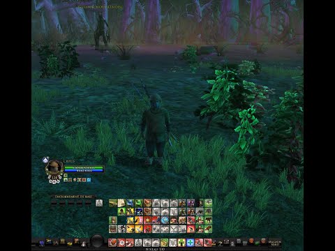 LOTRO - How To Move Solo On First Boss T2 - Woe of the Willow