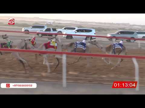  ش 6 (سهره) لـ سالم غدير بن سالم الوهيبي 2:16 ، شارة صندوق حلفه 2026/05/10 فطامين الجبيب